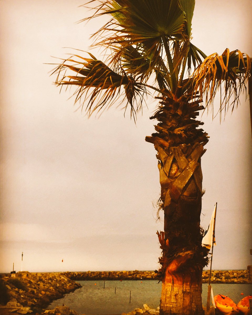 Danouchka11's tweet photo. #gruissan #plagedeschalets le soir sous la pluie d'été 💦🌈@OT_Gruissan @audetourisme @CrtOccitanie @gruissan https://t.co/rAjCcp950E