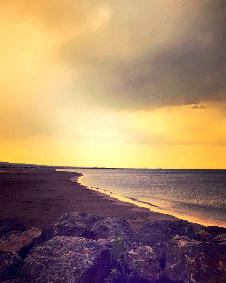 Danouchka11's tweet photo. #gruissan #plagedeschalets le soir sous la pluie d'été 💦🌈@OT_Gruissan @audetourisme @CrtOccitanie @gruissan https://t.co/rAjCcp950E