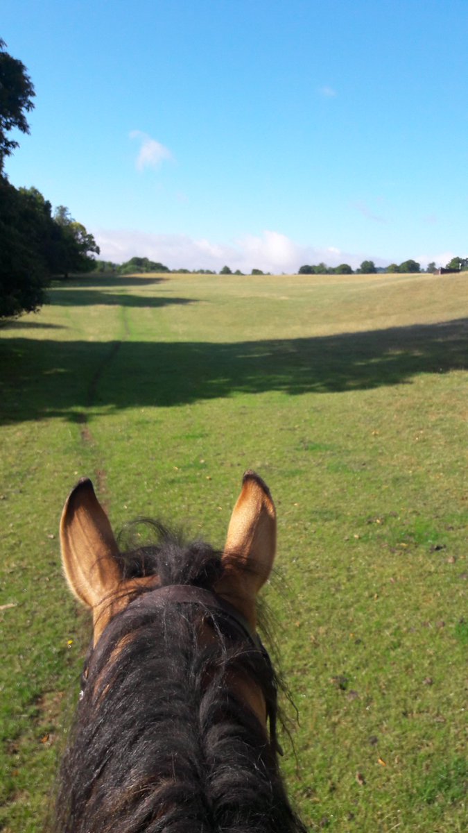 HensonHorse's tweet photo. Sunny at 8am but @ChilhamPark has had a lot of rain since #eventing2017 https://t.co/04DQixyStV