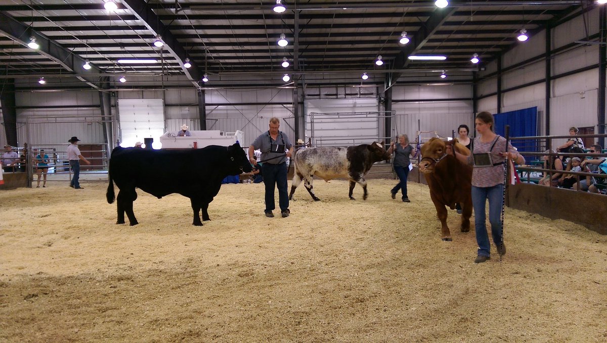DianneFinstad's tweet photo. Thanks to our beef exhibitors @WesternerDays #jackpotshow #westerner17 #agisimportant https://t.co/pja9BzGUgX