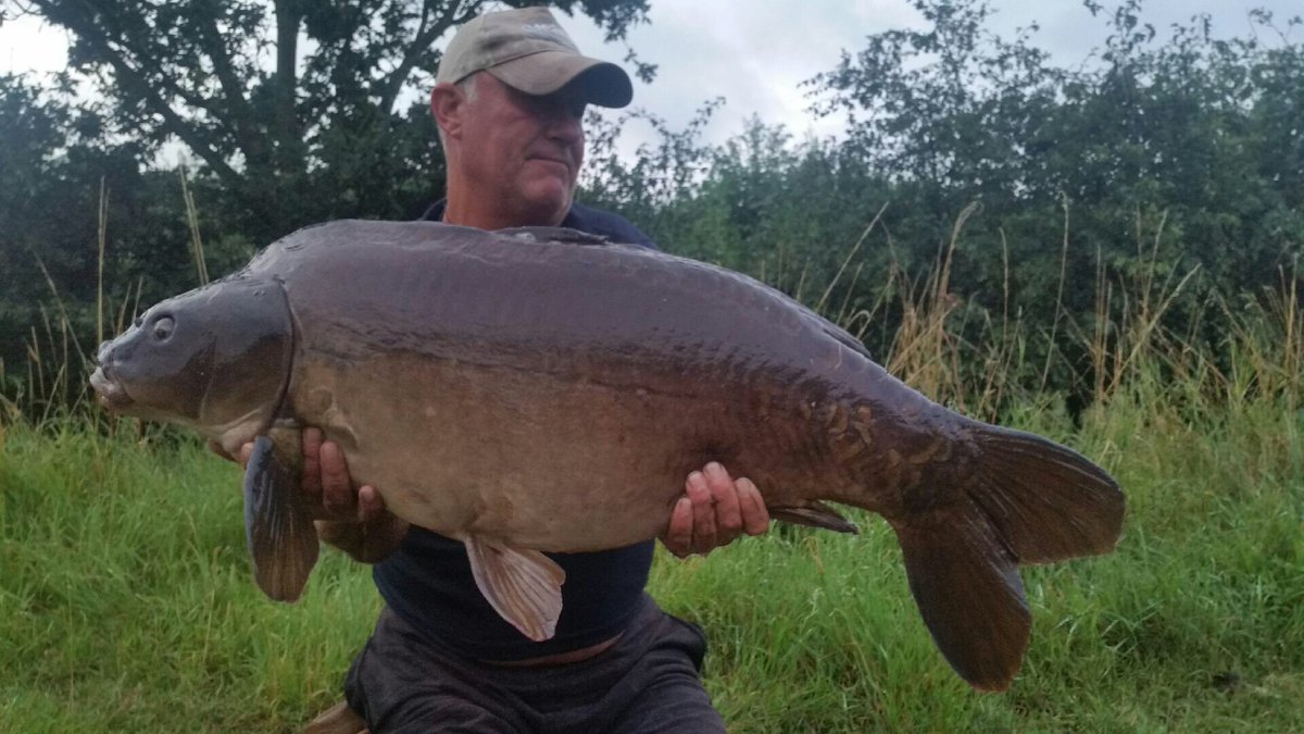 steamiesboilies's tweet photo. 🌴🍊🌴Another Kipper on the CNO🍊🌴🍊
#SteamedNotBoiled #Steamies #ItsCommonSense https://t.co/LNgERdeN13 https://t.co/atDsZTTizx