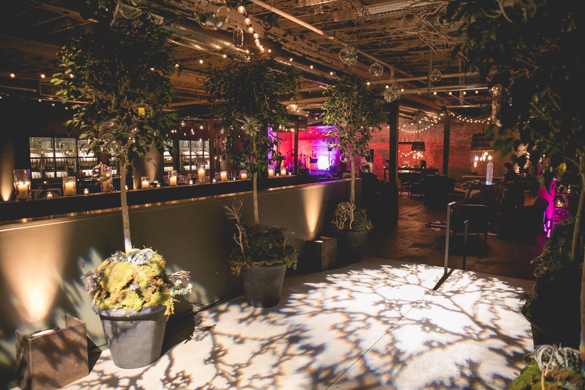 indoor forest anyone!? #sundayfunday