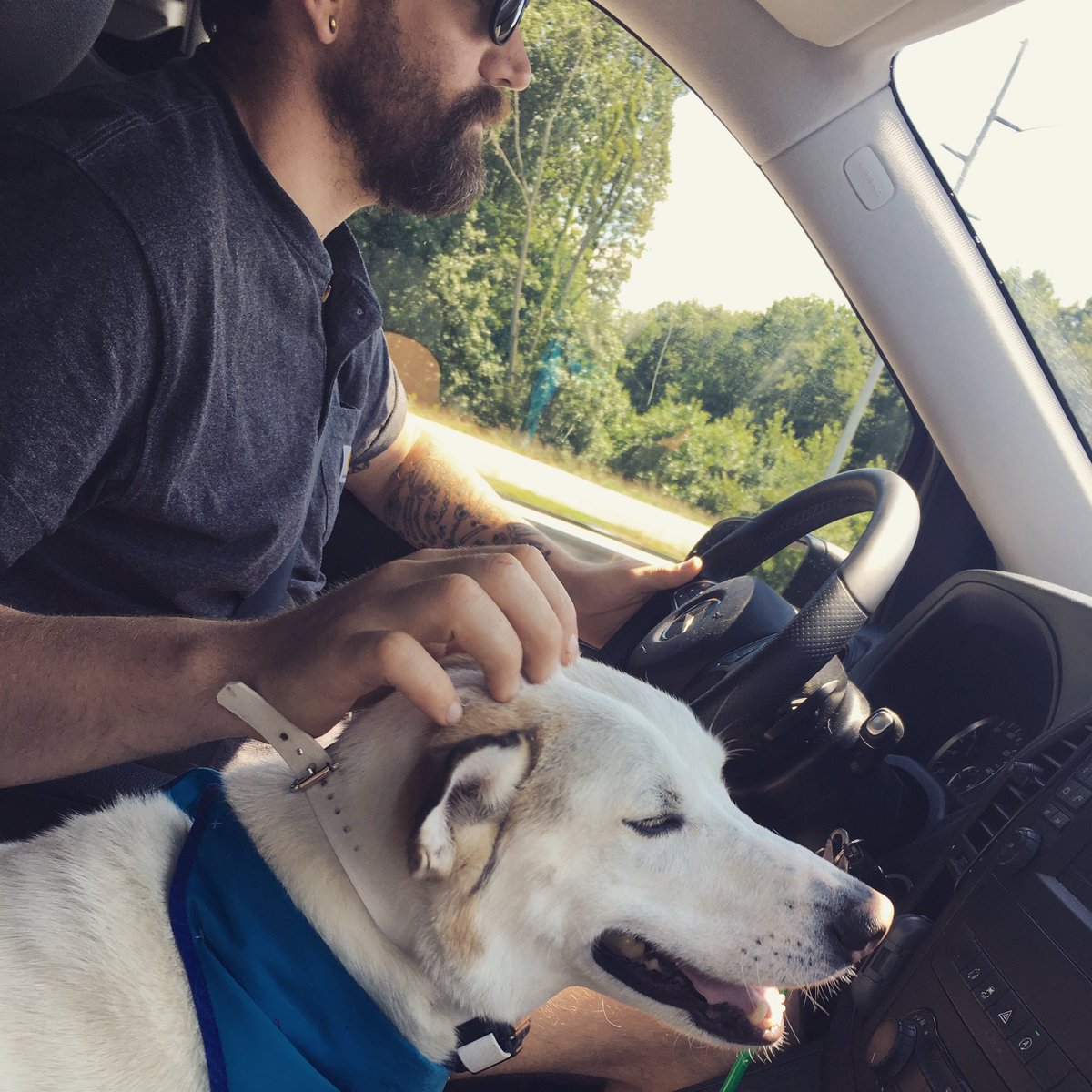 bisonandbigfoot's tweet photo. #ghostthemutt was allowed in the "cab" for a min to get a quick pet. Look at that face. #happydog #vandog #vanlife #doglife https://t.co/4KXUVpiI2D