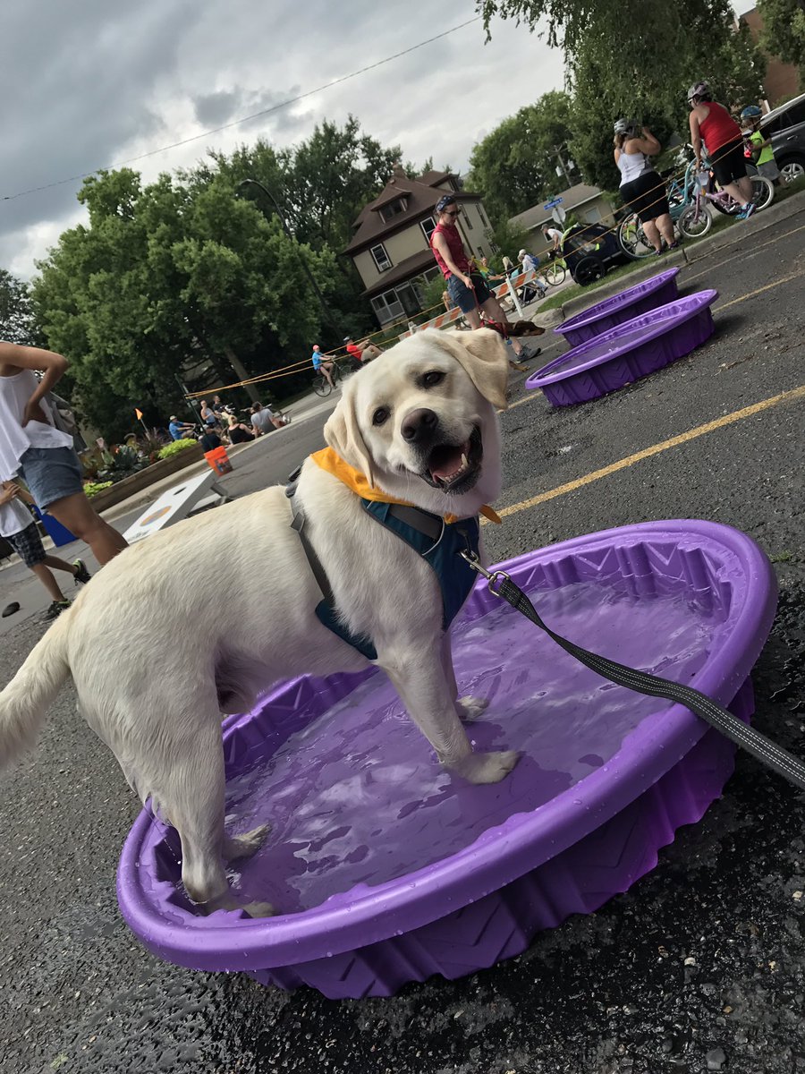 HoweMpls's tweet photo. Take the pup for a dip @OpenStreetsMPLS #howempls #thehowe https://t.co/fRRqAptba9