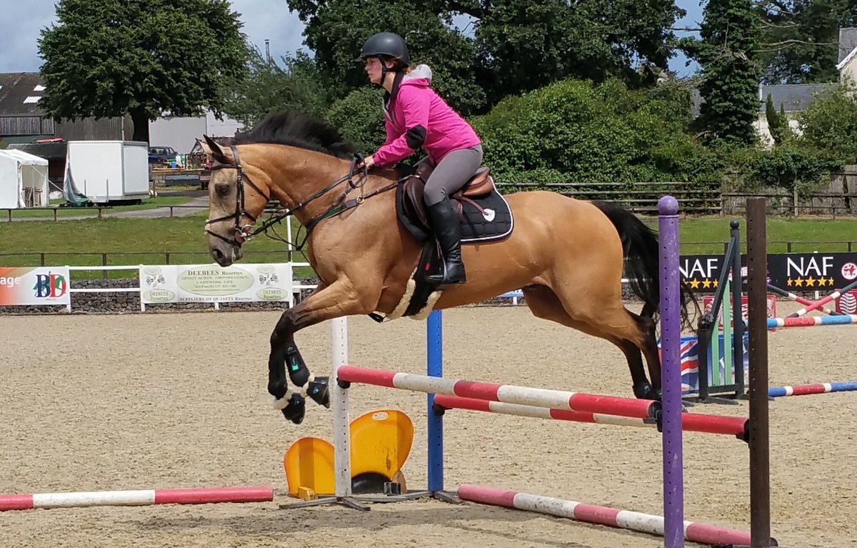 Altommar's tweet photo. All systems go in our schooling session today 💪 just need bigger jumps now! #EquineHour #showjumping #TimeForTheBravePants https://t.co/ym4ocON5Ms