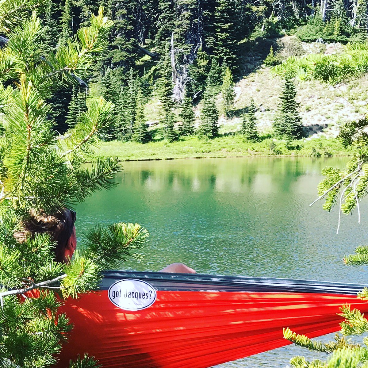 bread_tweets's tweet photo. this is how i jacques. 

#gotJacques? #jacquesinasmock #mtrainier #sunriselake #exploremore #hammock #hike #camp #nationalpark #kidlit https://t.co/SMVEanL7HO