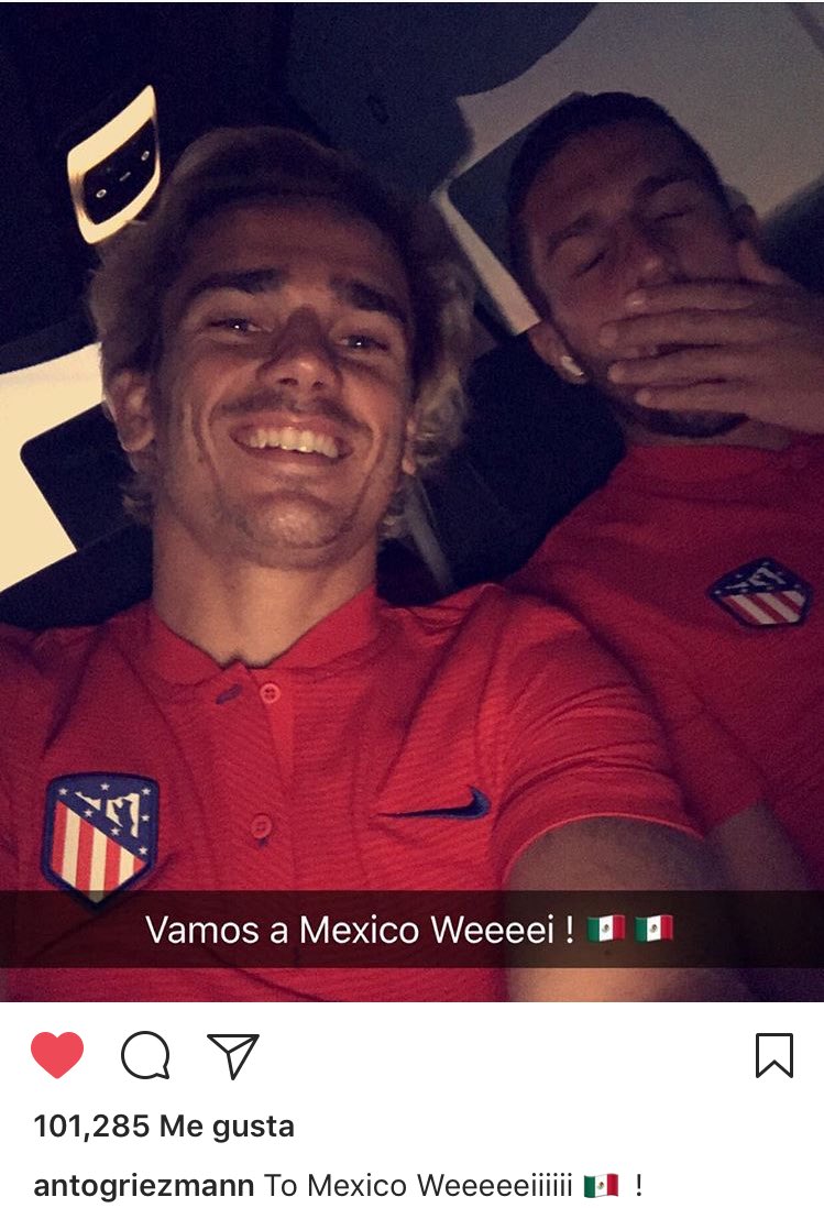 De Volea... tweet media