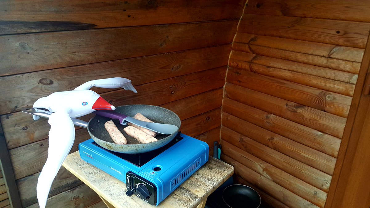 CE_Gull's tweet photo. Fed up of nicking chips gunna try cooking sausages outdoors! #glampinggull #gullsontour #squawk #cegull https://t.co/GUKtFY1GVs