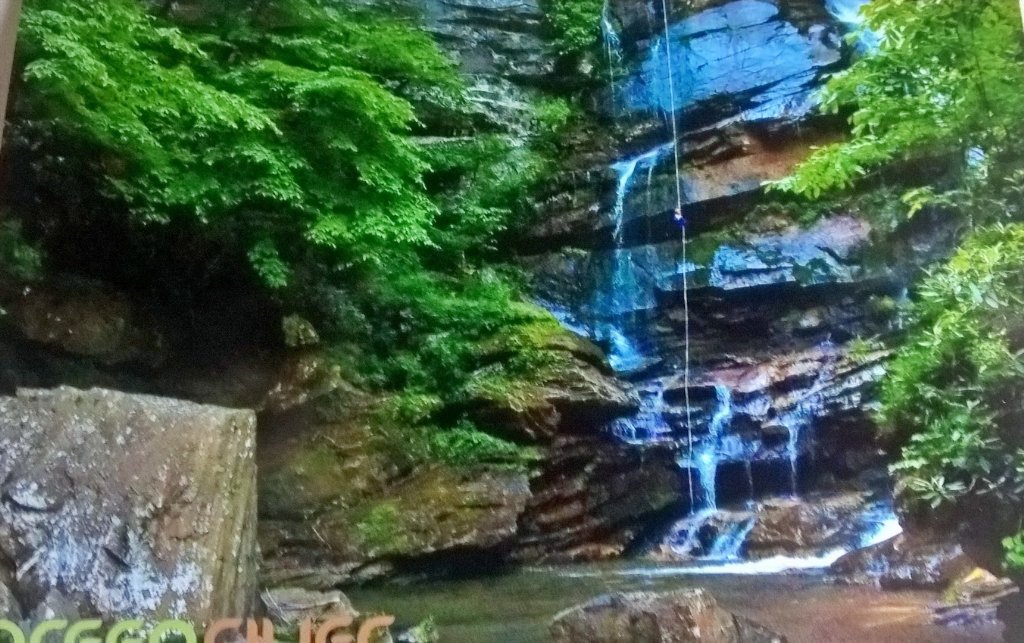 shellimilling's tweet image. Saluda NC