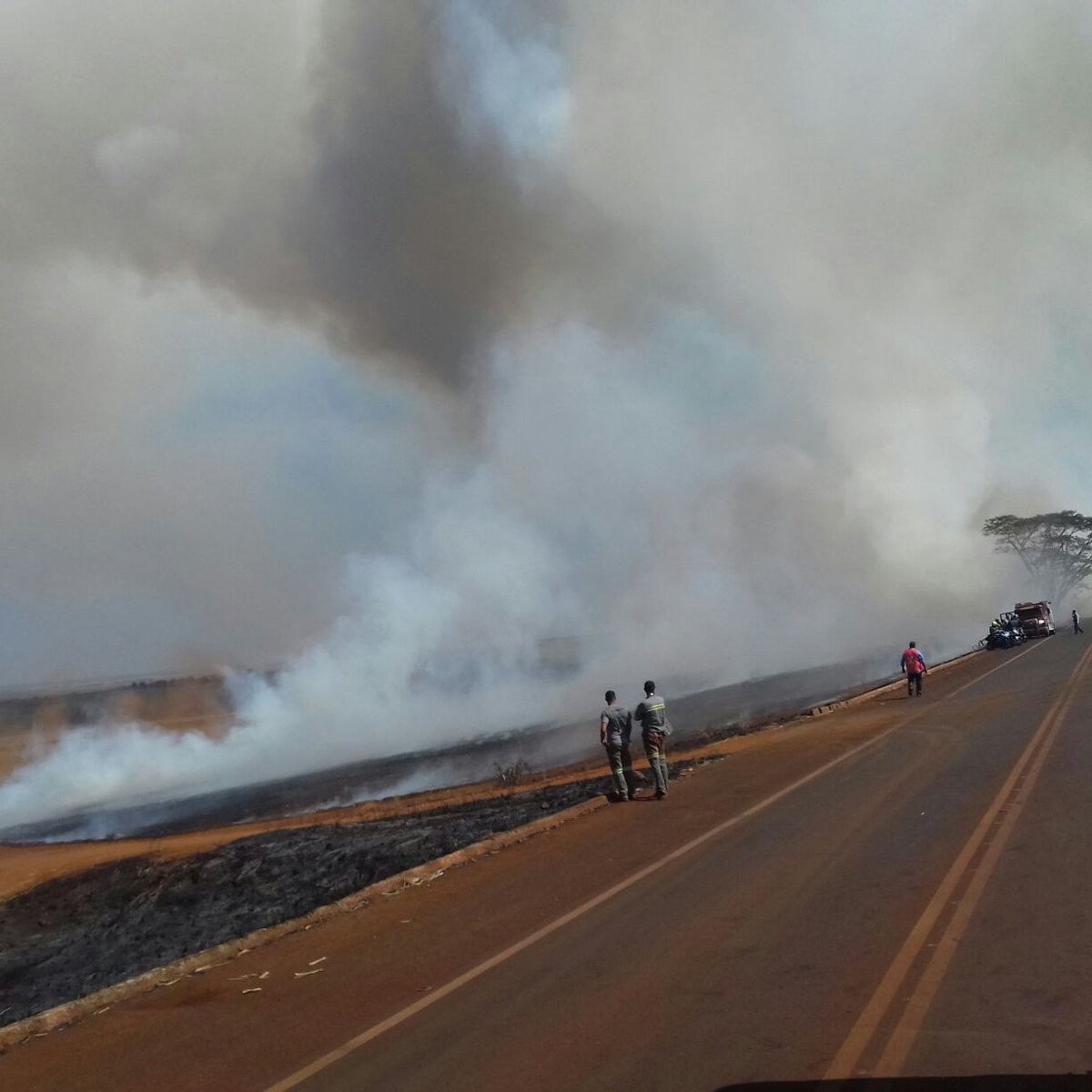 jornal_opopular's tweet photo. Incêndio em canavial na GO-210 provoca acidente e deixa criança e adolescente mortos https://t.co/PiDvdOuSQo #acidente #GO210 #incêndio https://t.co/QNISCtnFXv