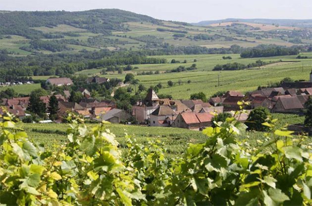 Noshbites's tweet photo. Louis Jadot buys historic #Burgundy ... - https://t.co/e0l2tP084K #Chardonnay #Grape_Varieties #LifeStyle #Pinot_Noir #The_Wine_Press ... https://t.co/sYR8SDOaLe