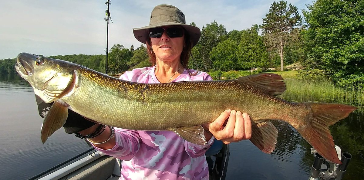 sherry Tomporowski tweet media