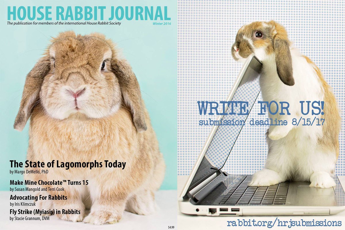 House Rabbit Society tweet media
