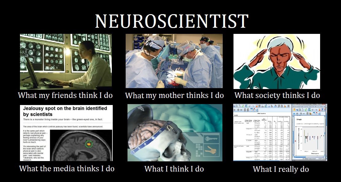 fabiola1garcia's tweet image. Working a little while... // Trabajndo un ratito...
Credit: @tulpesh