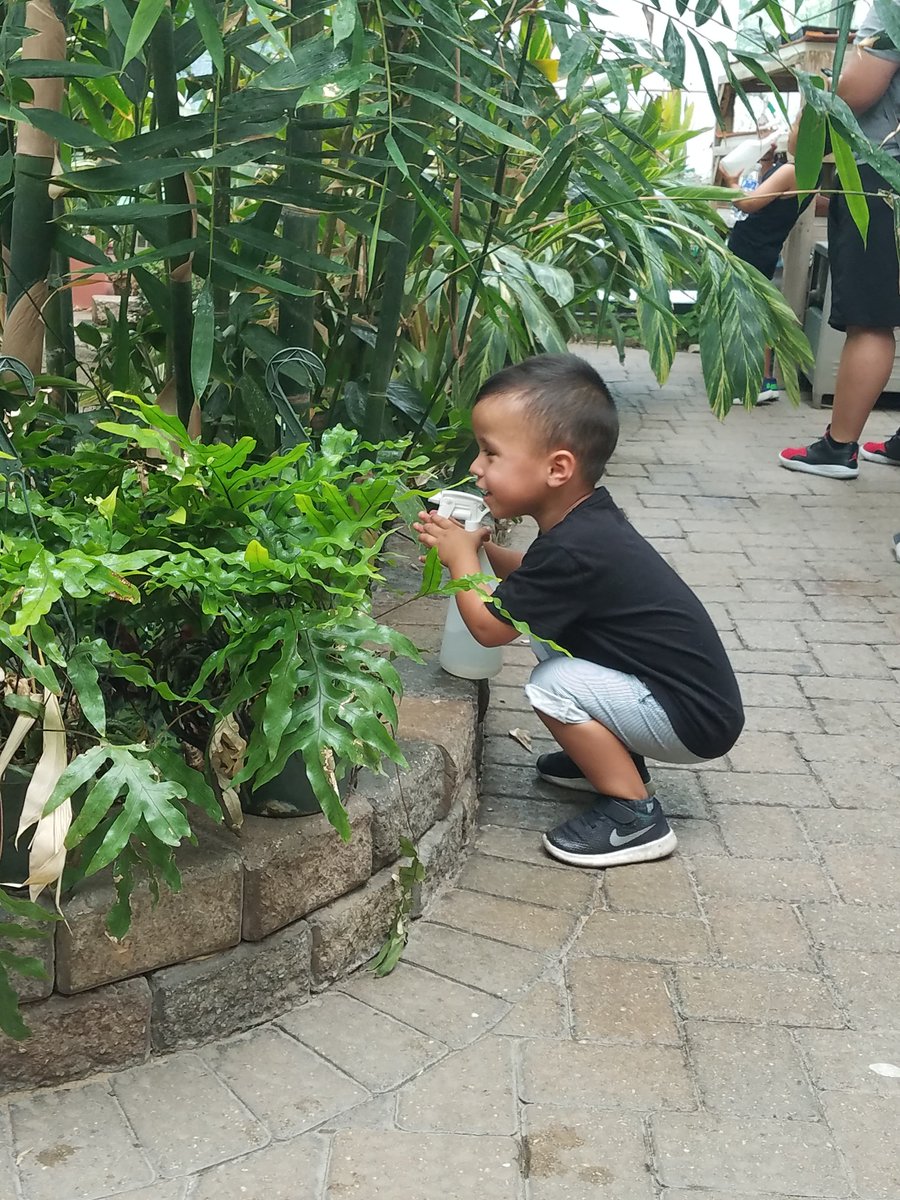 csilva52414's tweet photo. Got my 3 year olds "saving" the plants at Brookfield Zoo by giving them water!! @NutmegSomething #bio120sum17 https://t.co/o5AtsJ4Rfq