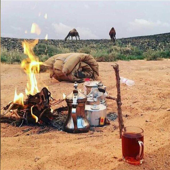 بالطيب يفرق ميت القلب والحي
والطيب في سلم الحمايل مبـدا 
ٰ
نطيب مانرجي ورا طيبنا شي
حنـا نطــيب..ومـن تـردا تـردا
✋️