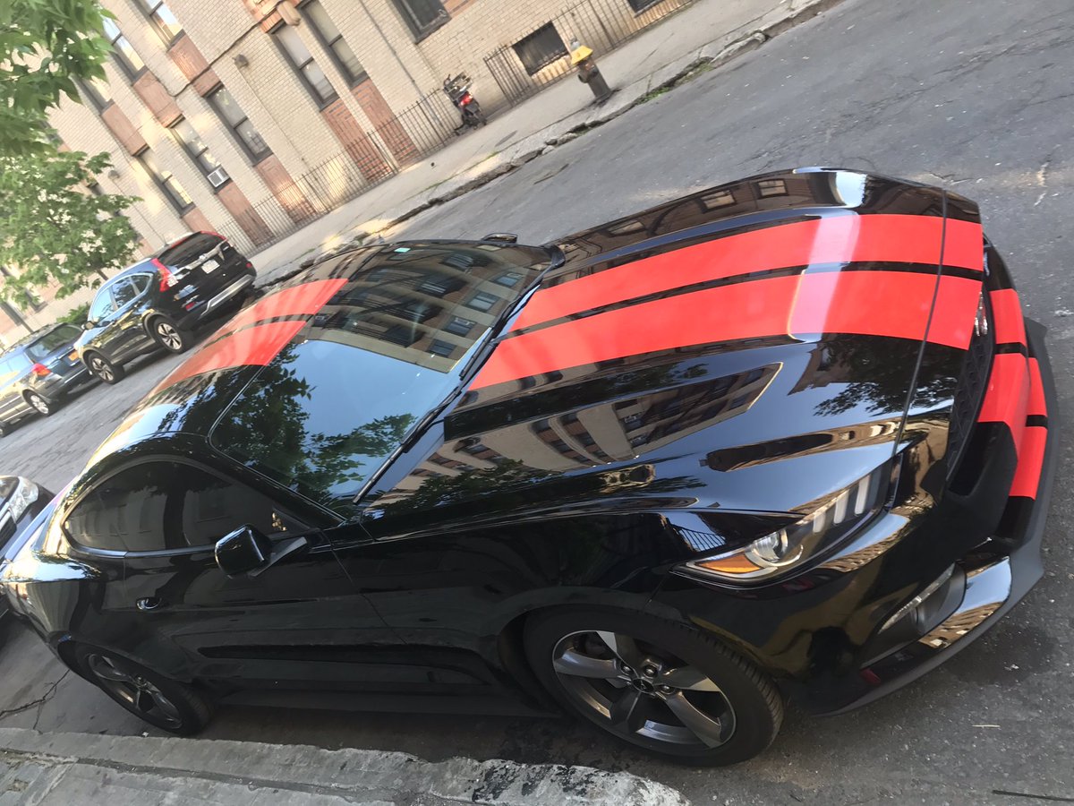 curlsasf's tweet photo. - #issabeauty #mustang 🌶🔥 https://t.co/1n5izJAzly