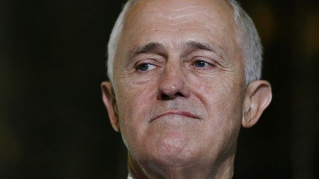 TeamTAbbott's tweet photo. Andrew Bolt: Malcolm Turnbull's no-show on voting day at #LibConvention was "weak" and "spiteful." #WarringahMotions #NSWLibs #auspol https://t.co/keZq0Ipdnq