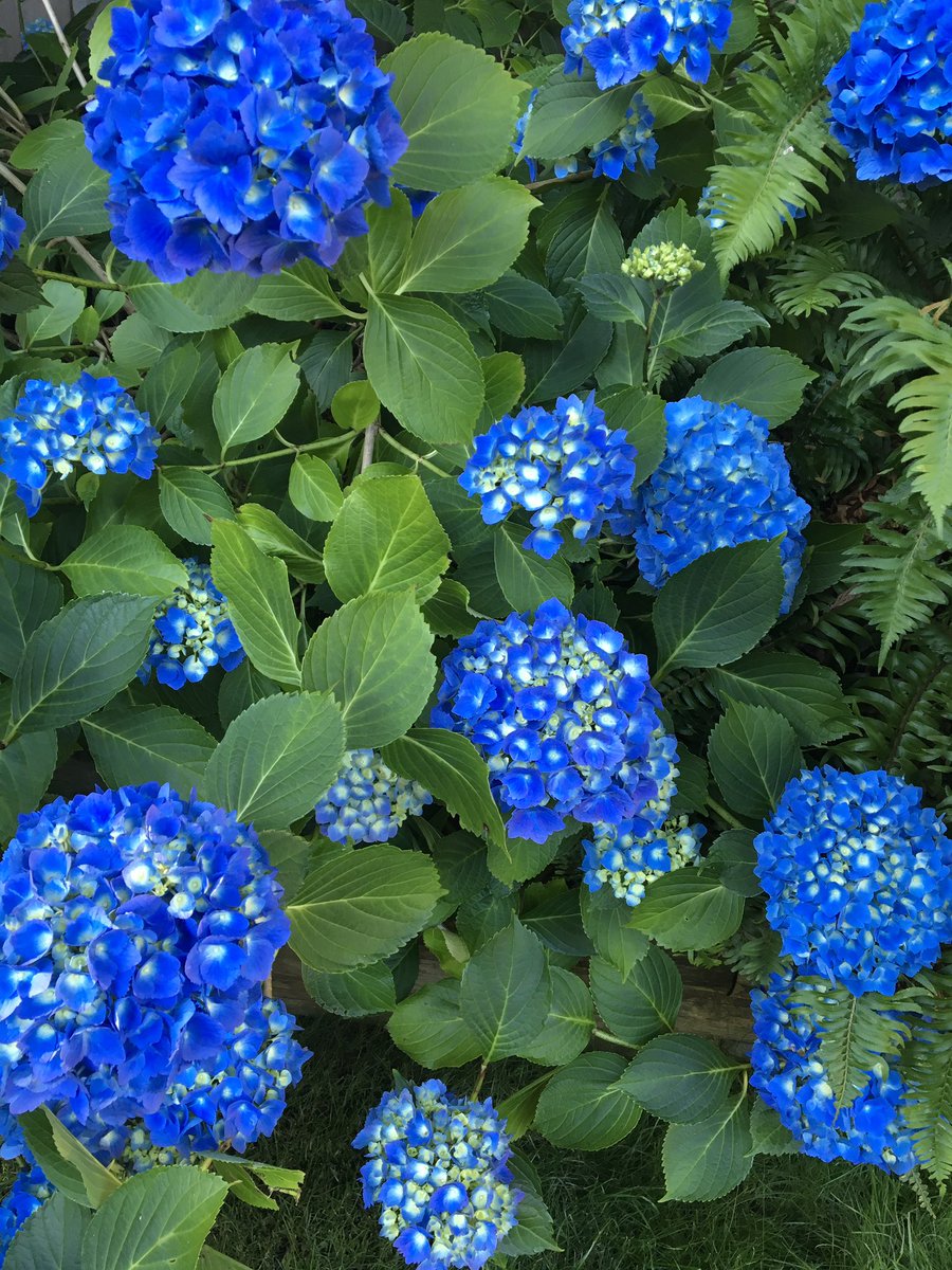 <a href="/snowleopard56/">christine Ann Muff</a> <a href="/mansour11461146/">Dr mansour Mohamed</a> <a href="/FlowerSree/">Love n Light</a> <a href="/mikeinri1111/">michael greene</a> <a href="/GulzaarRana/">Gulzaar Rana</a> <a href="/encarnacion67/">MARIA CRISTINA</a> <a href="/goedevolger/">Goede Volger</a> <a href="/dhandunia/">dhananjay</a> @thinkinglight78 <a href="/BillionIndian/">DeshBhakt🇮🇳</a> <a href="/sankarchanda99/">Sankar Chanda 🇮🇳</a> <a href="/gamila2103/">gamila H</a> @Berger3254 <a href="/windiyoktaviani/">windiyoktaviani</a> <a href="/MiraGhoshal/">Mira S. Ghoshal #ReparationsForPoland</a> 💚💙💚have a beautiful week 💙💚💙