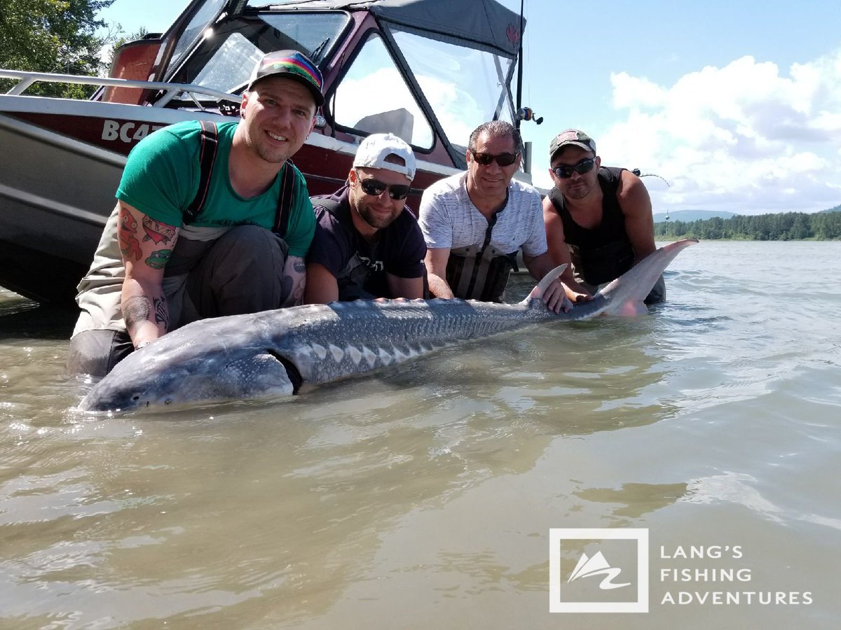 Lang's Fishing Adv. tweet media