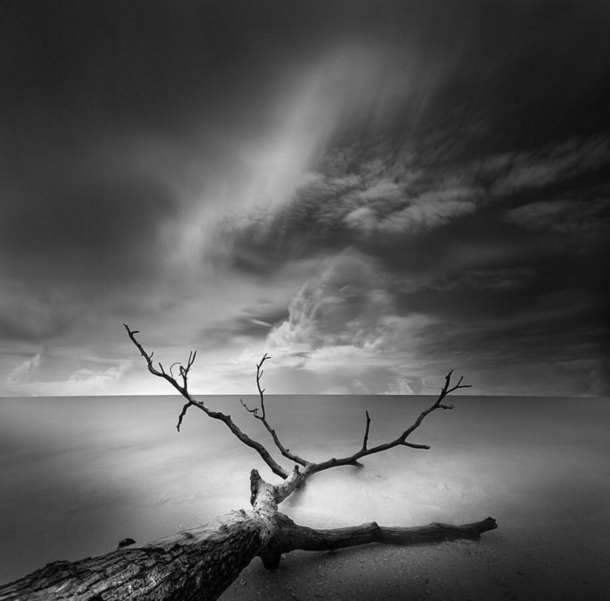 Pedro (@pedro11110934) on Twitter photo 