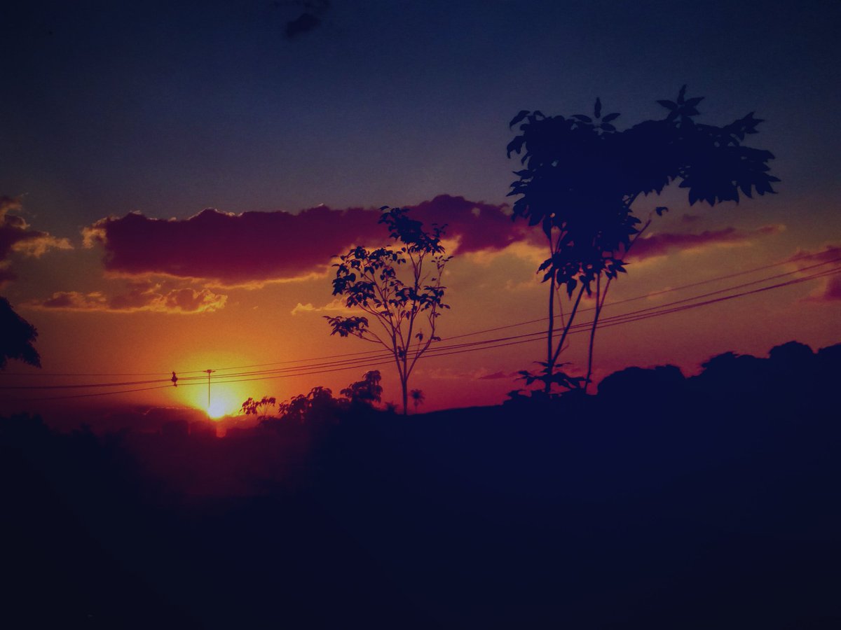 Pedro (@pedro11110934) on Twitter photo 