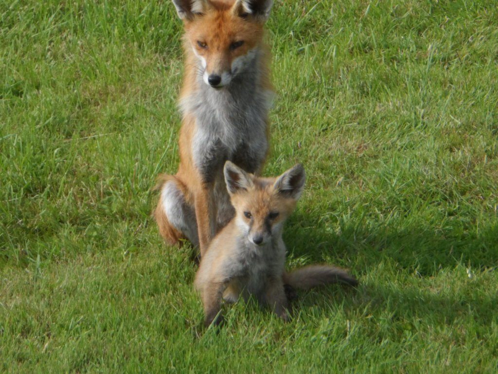 What  have you been doing this weekend.
UK's best online independent retailers, 

ukretailcloud.co.uk