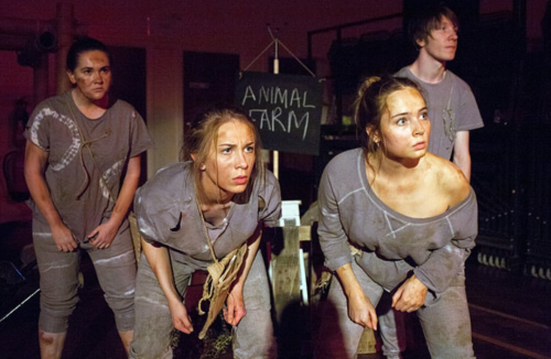 gekkota_arts's tweet photo. An amazing run of Animal Farm! Thank you to everyone who supported us!#longliveanimalfarm #theatre #ChesterfieldEvents https://t.co/L6D04fHSmQ