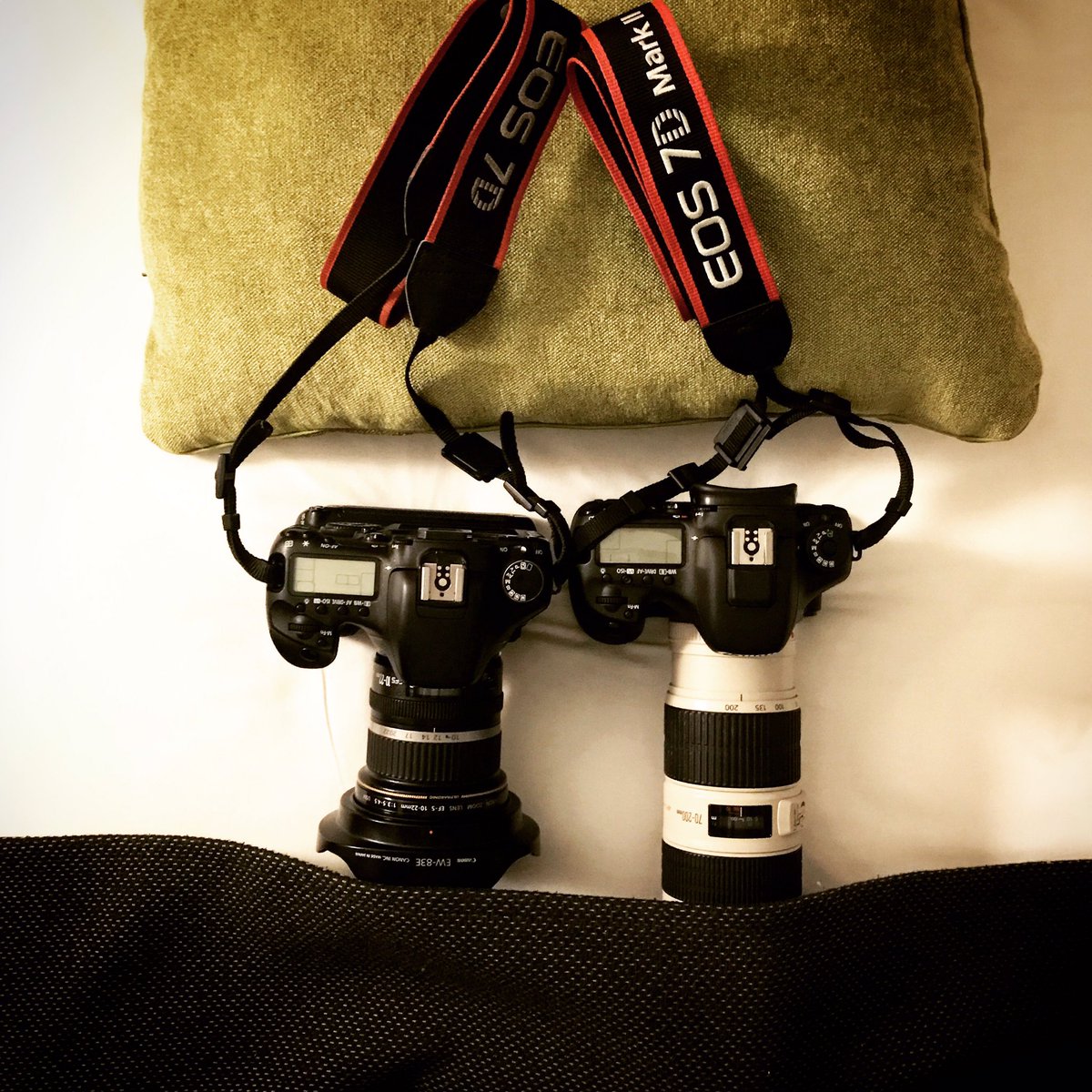 RallyeSportMed's tweet photo. Il est l'heure de faire un gros dodo 💤 ! #canon https://t.co/JcVUuOxnvP