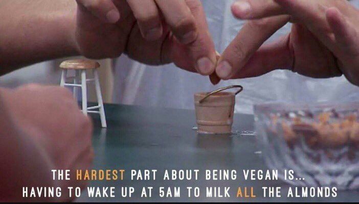 CauseWereGuys's tweet photo. i think about this all the time https://t.co/NsPUKdy03N