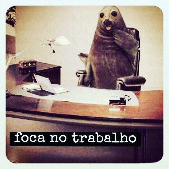 Até já segunda-feira.😅
#newweek #lisboa #7am #morning #work #gooddays