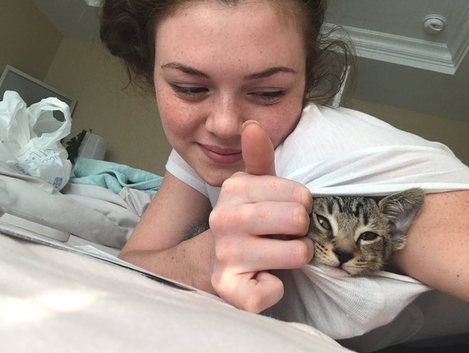 Someone has been hanging out in my shirt https://t.co/uJ3kRjFHhM<a href="/tag/newprofilepic"class="tags"><span>#newprofilepic</span></a>