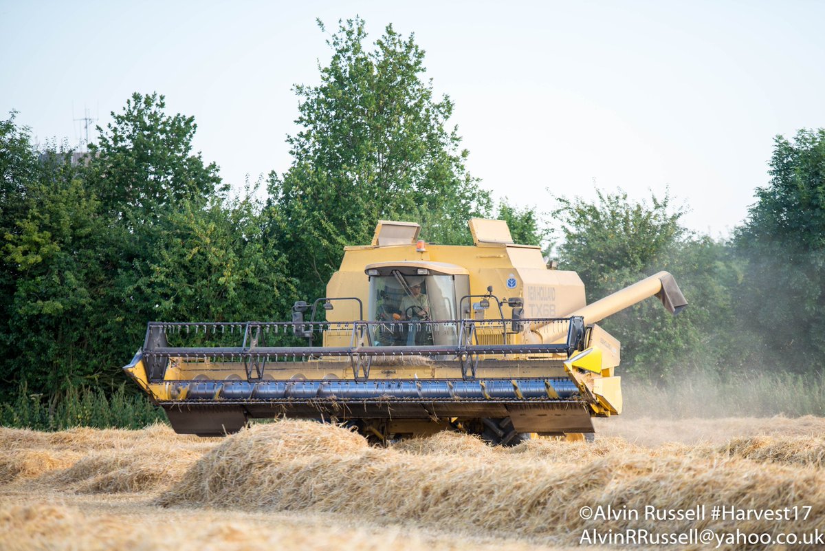 AlvinRRussell's tweet photo. with this crappy weather, lets start the #Harvest17 uploads #Fressingfield #Suffolk #NewHolland #TX68 @NHAG_UKandROI @FWharvest Sat 8th July https://t.co/kYE9xiiZCt