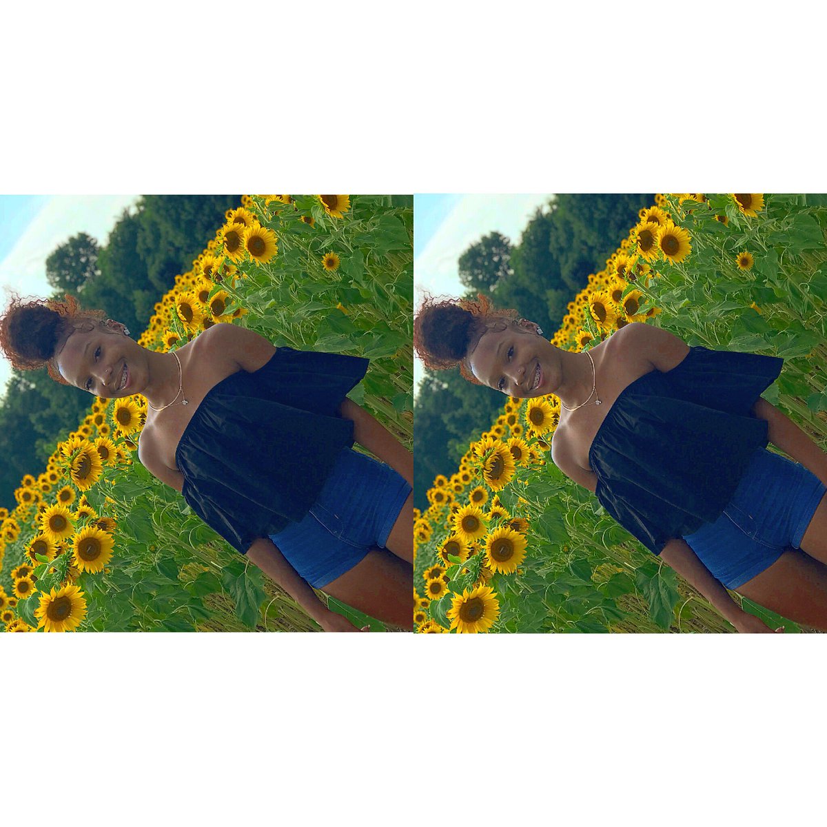 🌻✨