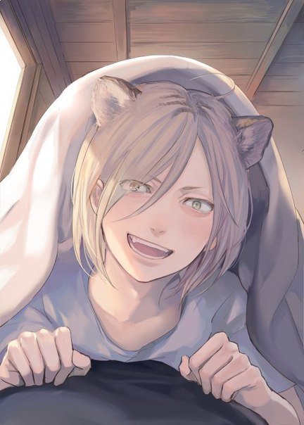 _Lilia_666's tweet photo. #cute@oh_yaoi_yeah https://t.co/G49hzyGF53