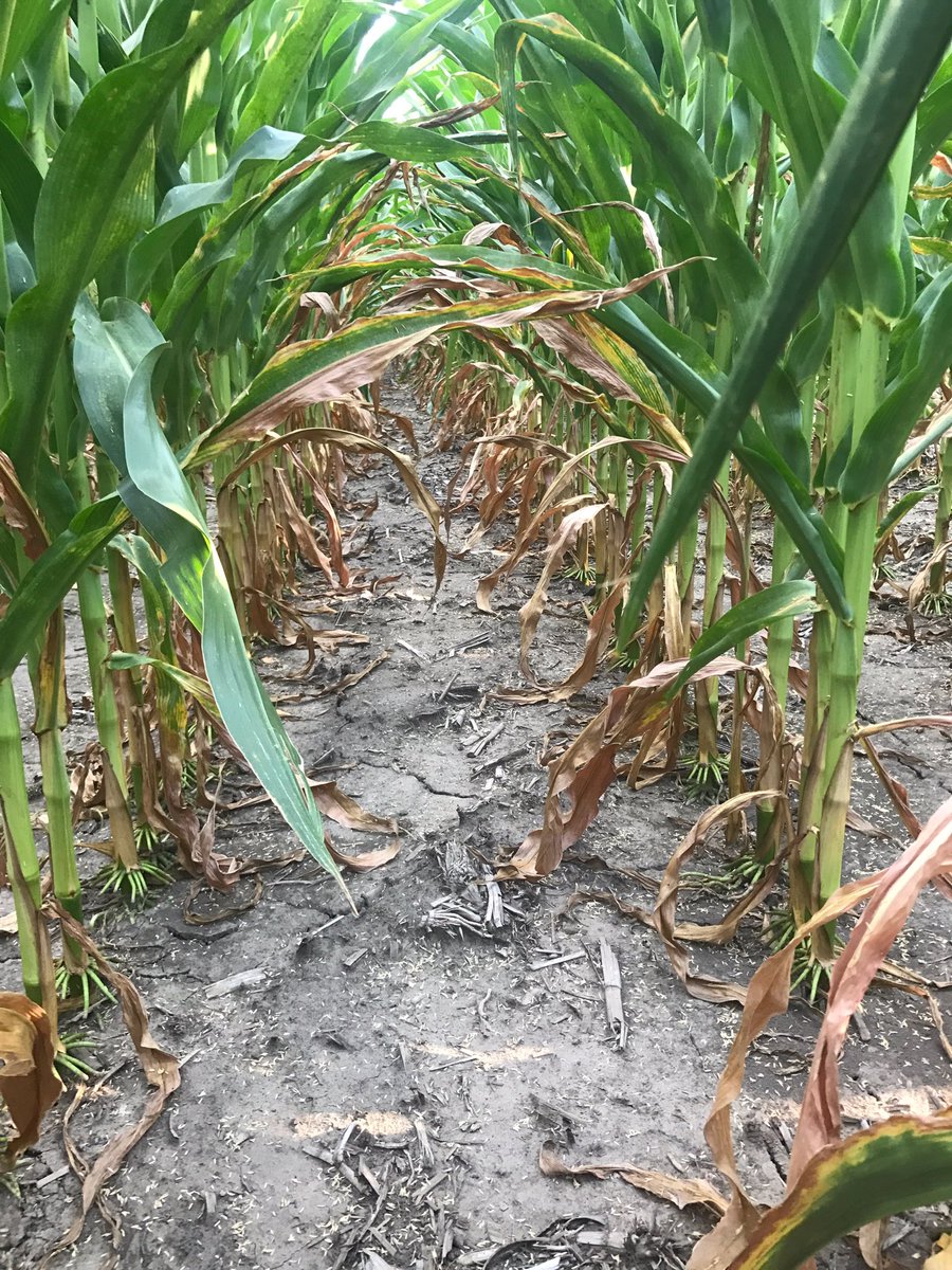 Andrew Paluska tweet media