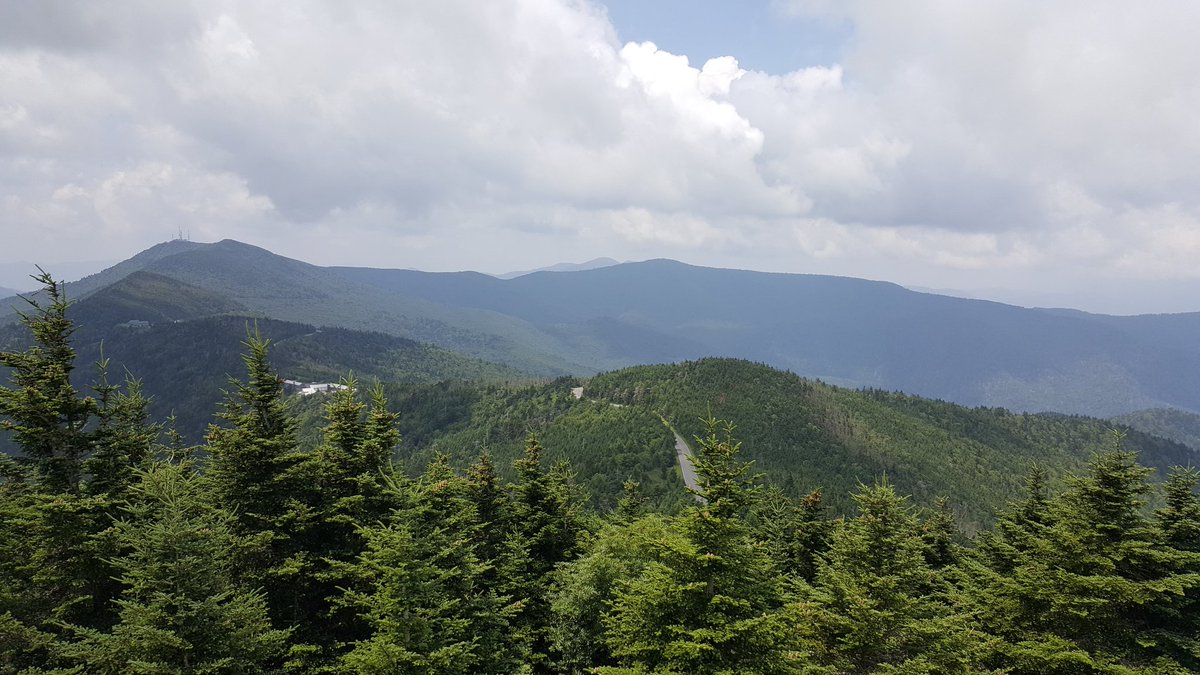bbk_95's tweet photo. The view from 6684 feet up. #MtMitchellStatePark #alpineforest https://t.co/Vpppu9cffx