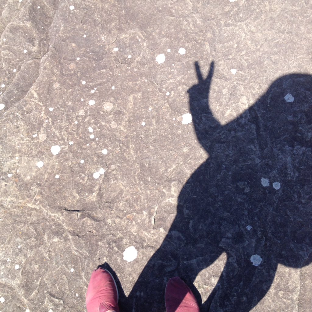 MiegImke's tweet photo. Unterwegs bei "Sonnenschein" im schönen Irland #CliffsOfMoher https://t.co/Bikqyk2daj
