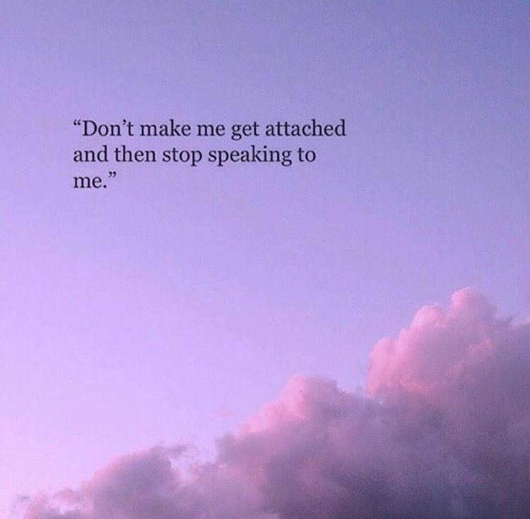 Riley Plott tweet media