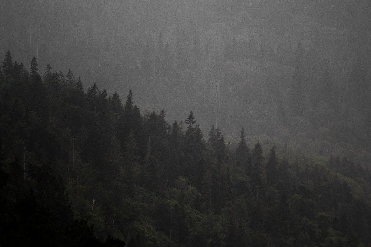 Archillect (@archillect) on Twitter photo 