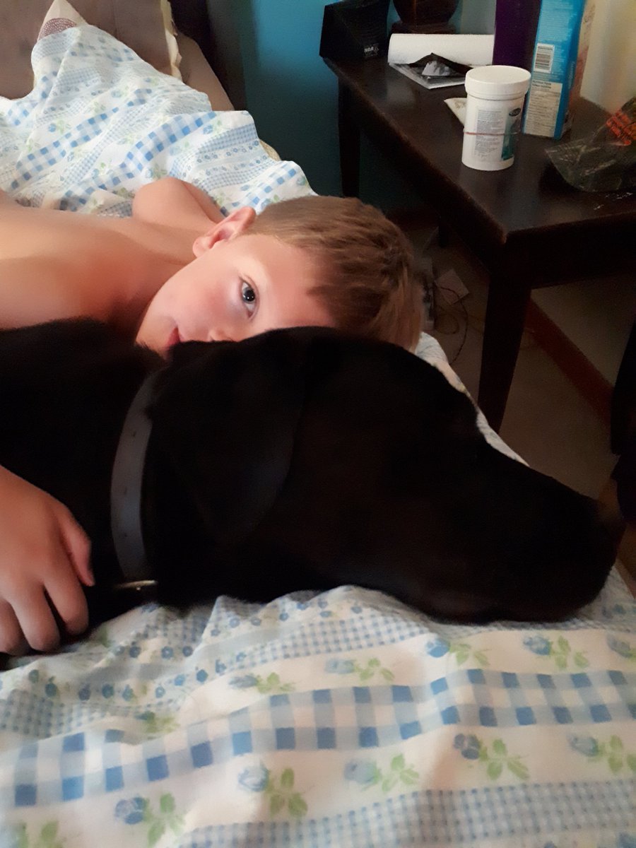 SarahByrne22's tweet photo. @Ptbo_Canada #PetsofPtbo https://t.co/lM2AX5HxQx