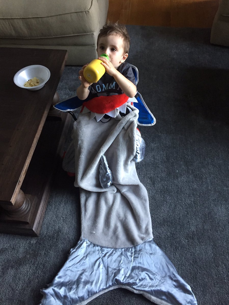 NikkiMatteoli's tweet photo. Look who else is getting cozy to watch Michael Phelps race a sharky?!? #BadWeekToBeASeal https://t.co/KQSD3wDtG5