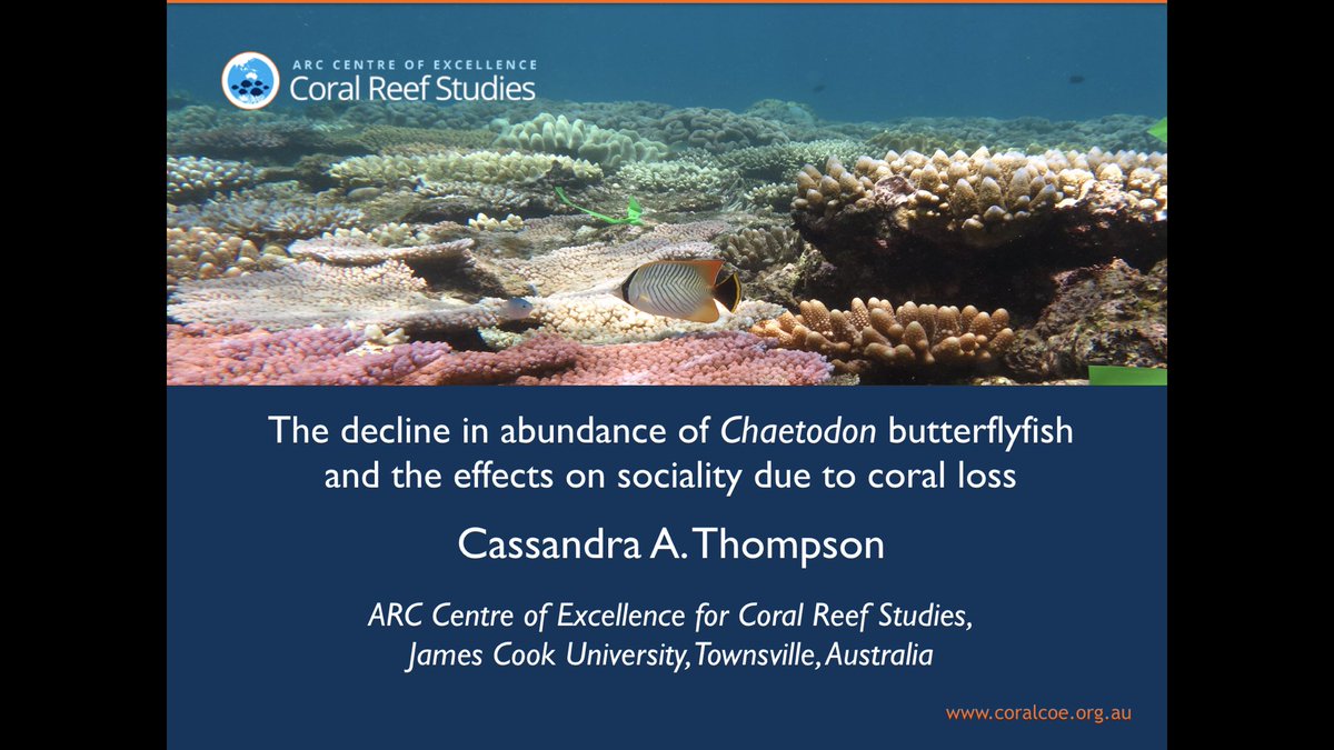 cassdives's tweet photo. Come and see me and #butterflyfish on the PRT stage at 1130 today! #PratchettLab #ASFB2017 https://t.co/oWaWDZmUCC