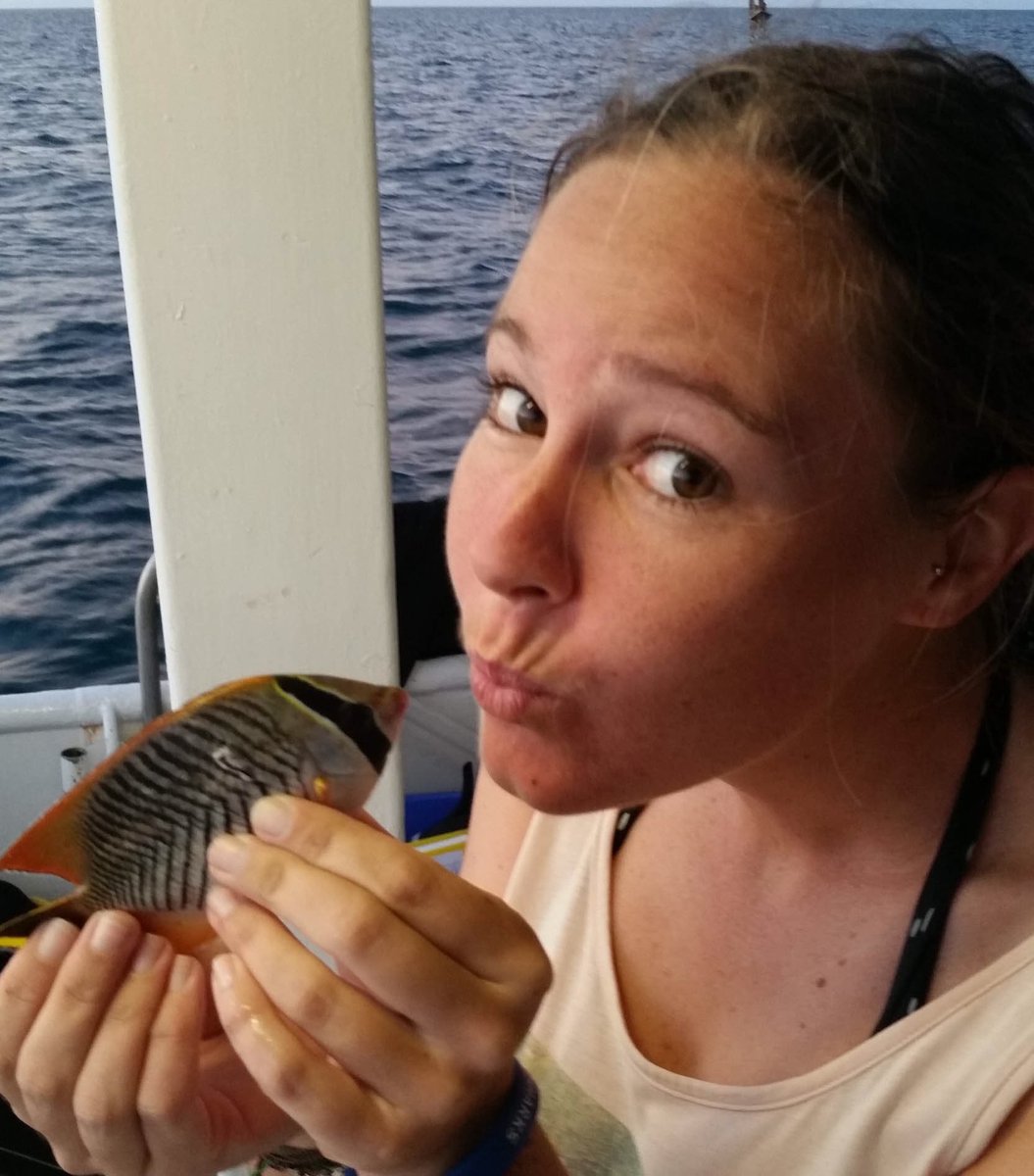 cassdives's tweet photo. Come and see me and #butterflyfish on the PRT stage at 1130 today! #PratchettLab #ASFB2017 https://t.co/oWaWDZmUCC