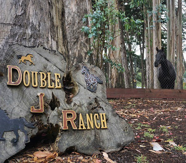 Healthy Planet US tweet media