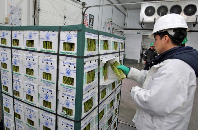 Agencia_Andina's tweet photo. Perú y Chile acuerdan impulsar mayor comercio agrícola https://t.co/xrAUWG069H https://t.co/jY5w2jGjyg