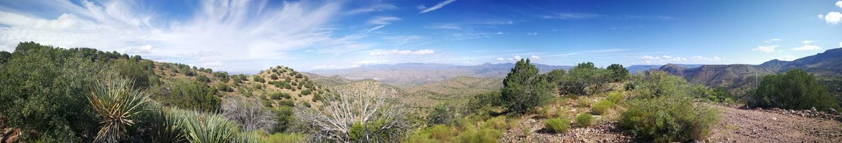 queenhawk12th's tweet image. A beautiful site for a beautiful day in Az.