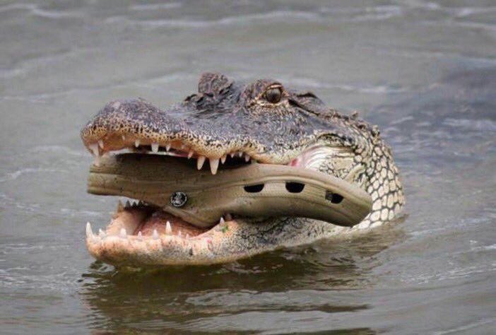 ForTheMen's tweet photo. Cannibalism is real, RT to spread awareness. https://t.co/eiYbNYnY04