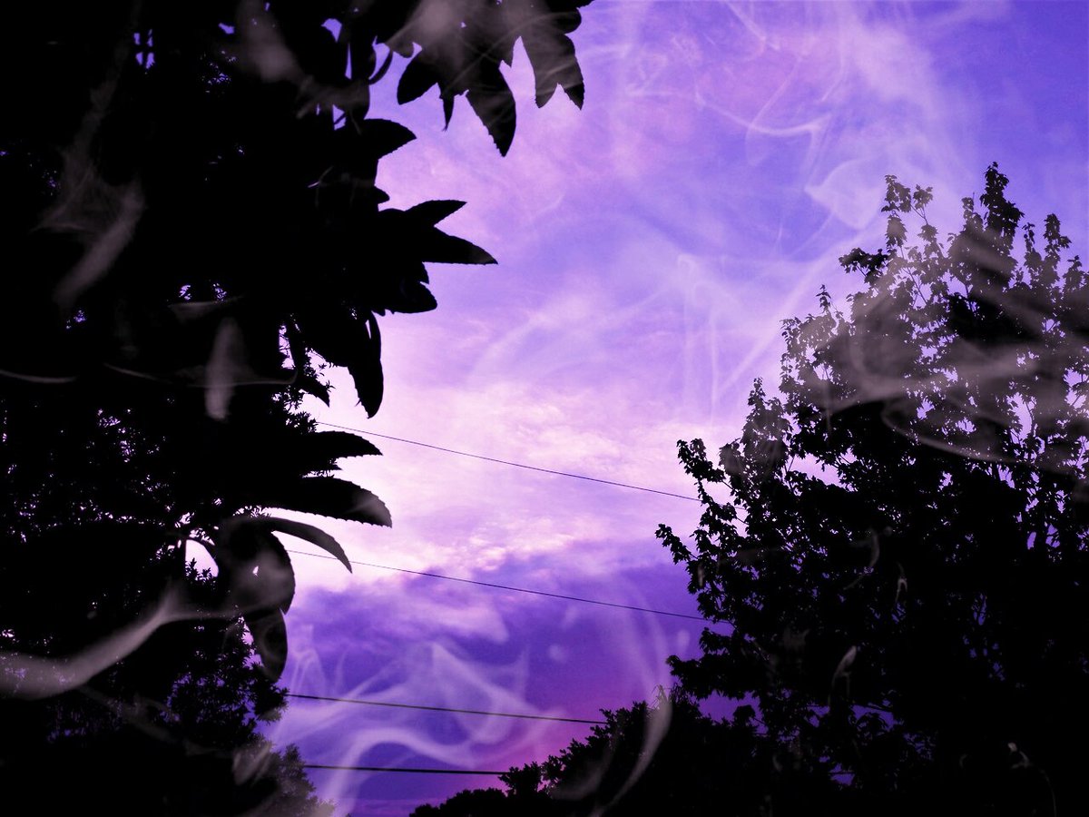 〝Darkness will dissipate and light will lead the way.〞
❧ Desc/Lit
❧ Crack/Serious
❧ Scouting for SLs
❧ #OC
❧ #MVRP