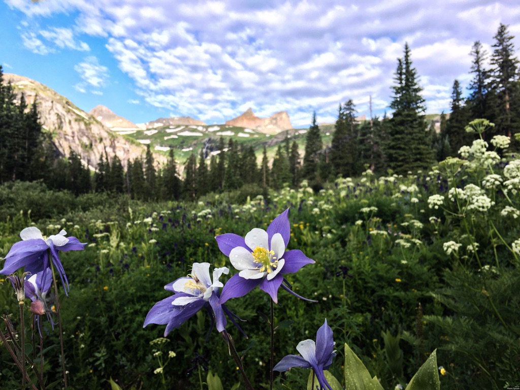 LandscapePlaces's tweet photo. https://t.co/9TtdABN5dg